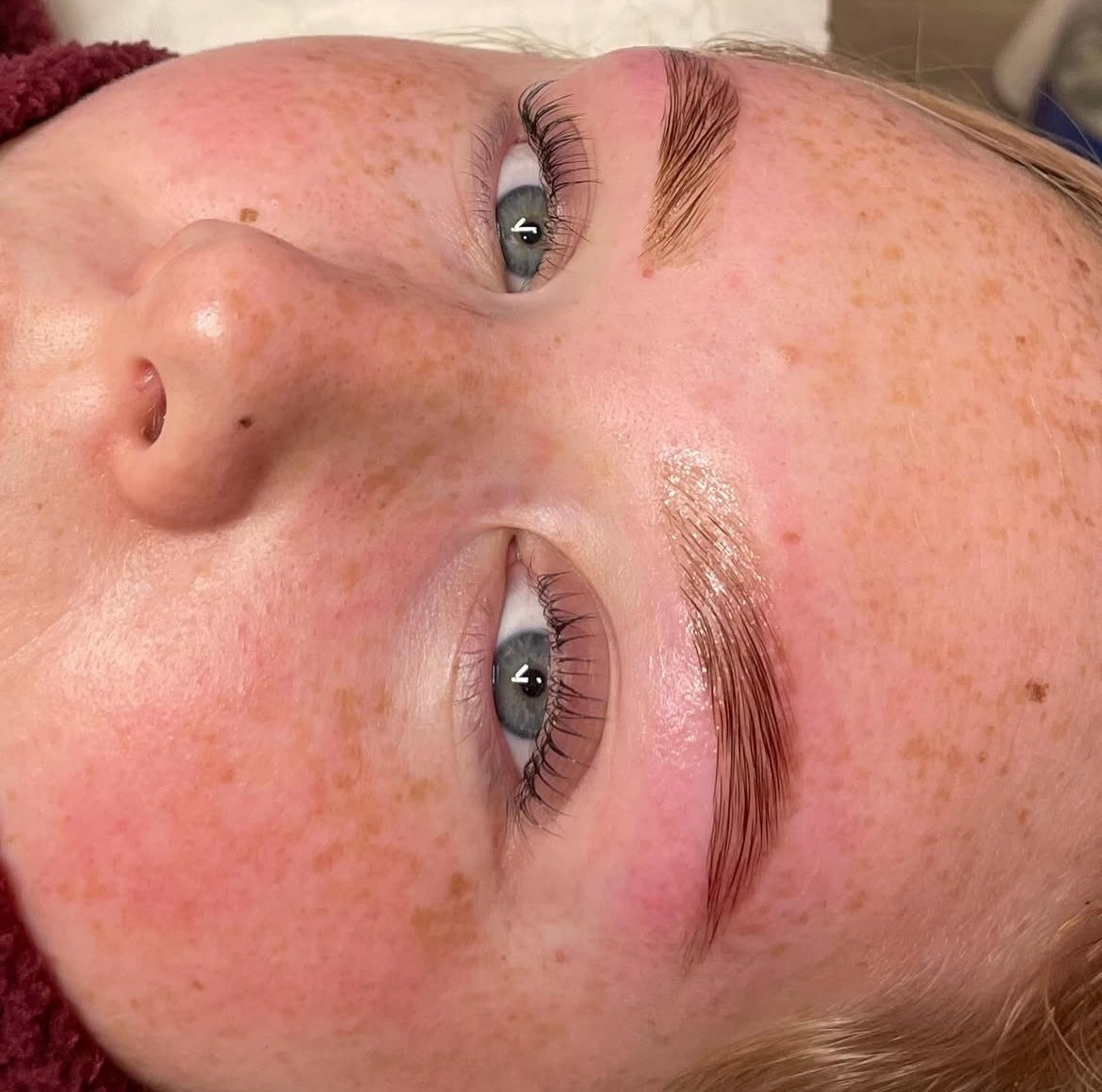 The Ultimate 2 DAY - 3 in 1 Lash Lift and Brow Lami and Hybrid Tint and Wax Combo Course