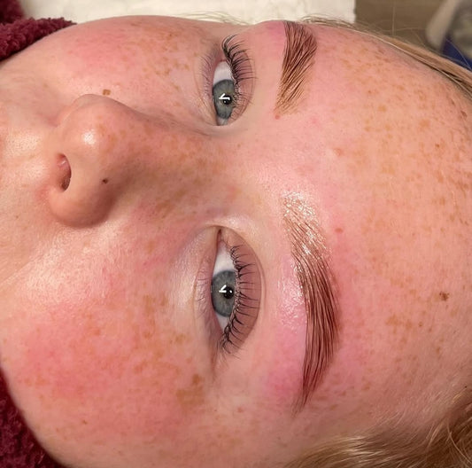 The Ultimate 2 DAY - 3 in 1 Lash Lift and Brow Lami and Hybrid Tint and Wax Combo Course